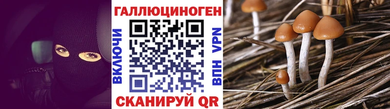 где купить наркоту Долинск Псилоцибиновые грибы Magic Shrooms